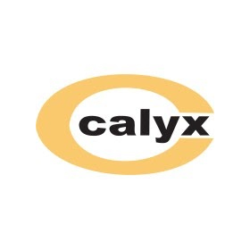 Calyx Chemicals & Pharmaceutical Limited